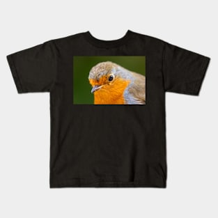 Robin Redbreast Kids T-Shirt